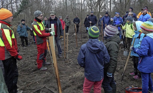 Loch graben, Baum setzen, Zwei-Finger-...in den Boden gepflanzt werden mssen.   | Foto: Susanne Fleckenstein