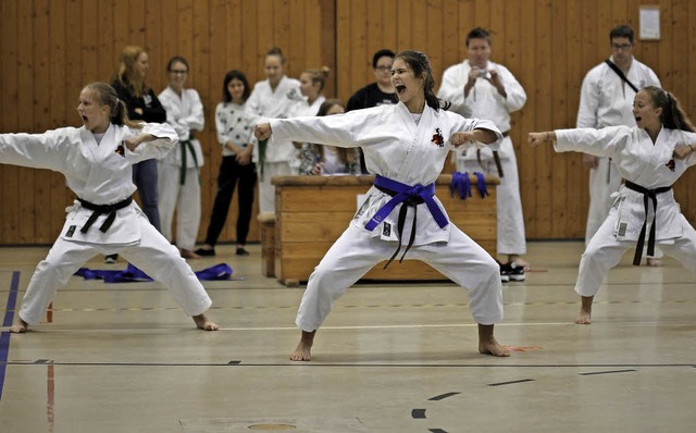 Team Steinen beim Regio-Kata-Cup: Von ...Roloff, Sarina Burger mit Tsuki Kiai.   | Foto: privat