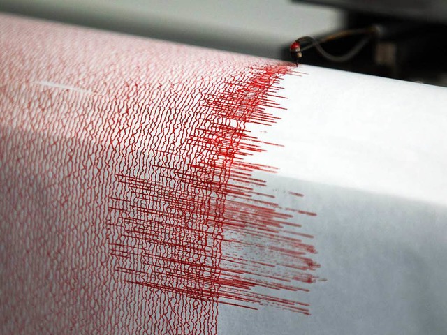 Ein Seismograph zeichnet Ausschlge auf (Symbolbild)  | Foto: dpa