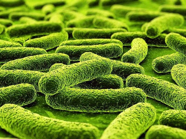 Krankheitserreger unter dem Mikroskop  | Foto: fotolia.com/zentilia