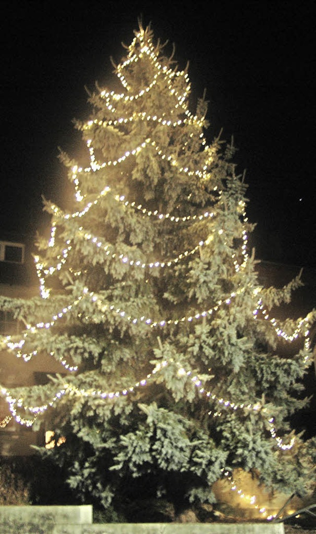 <BZ-FotoAnlauf>1000 Lichter </BZ-FotoA...aum vor dem Eiche-Anwesen in Hsingen.  | Foto: Winter