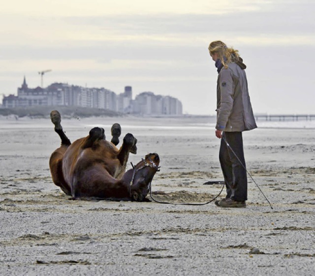 Seebrgge, Belgien  | Foto: Andrea Schiffner