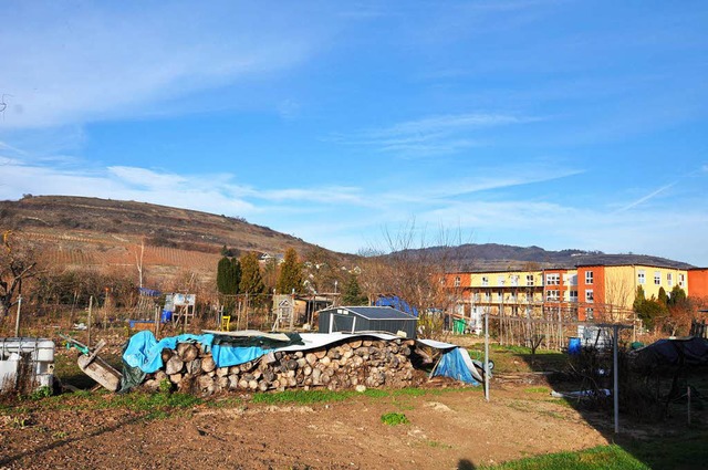 Insgesamt 58 Wohneinheiten sollen am W...en im Baugebiet Kaibengasse entstehen.  | Foto: Kai Kricheldorff