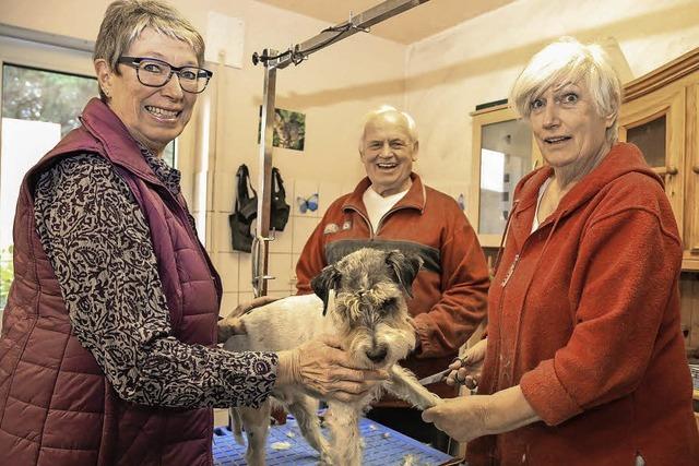 Ute und Gustav Weber schlieen Tierpension und ziehen nach Ungarn