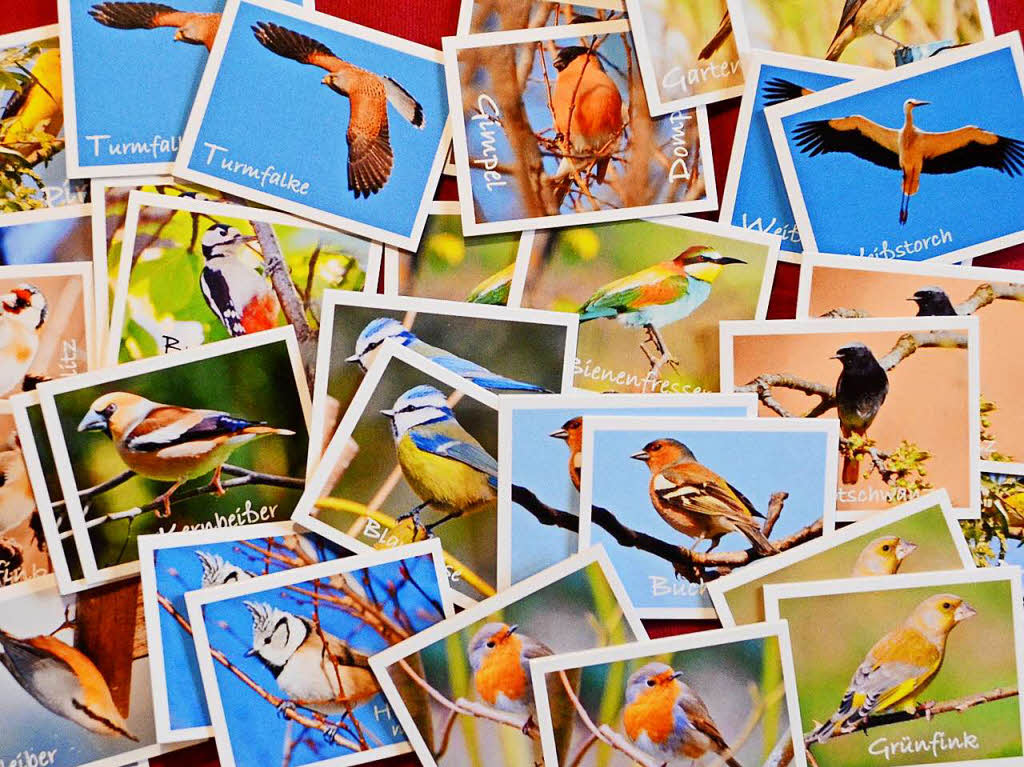 Bei dem Spiel des Gundelfinger Natur-Fotografen Albert Rummler mssen  passende Vogel-Prchen gefunden werden.  Kosten: 16,50 Euro plus Versand. Kontakt: 0761/585-951