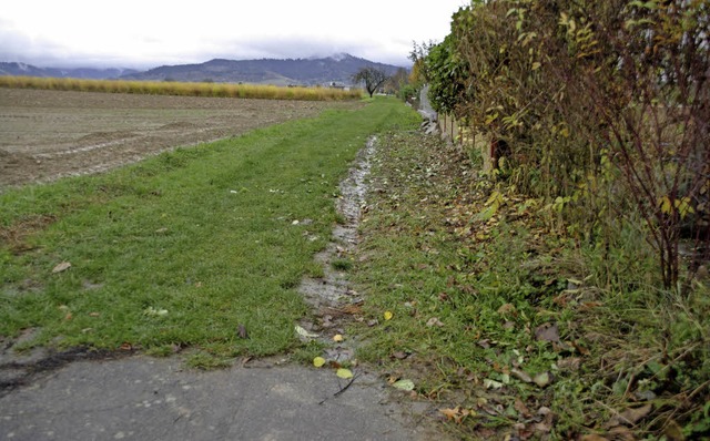 Der Grasweg am Ortsrand wird jetzt zum Feldweg ausgebaut.  | Foto: Pfefferle