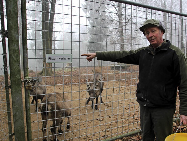 Tierpfleger Hubert Rossa zeigt auf ein... Schutz der Tiere angebracht wurden.    | Foto: Rutschmann