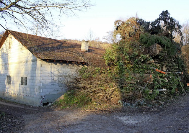 Ordentlich Holz vor der Htte hat derzeit die  Bergwacht.   | Foto: Cremer