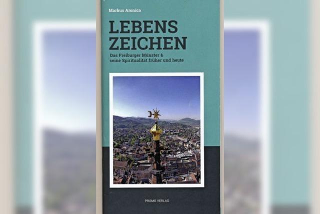 Das Mnster erkunden mit Buch oder Begehung