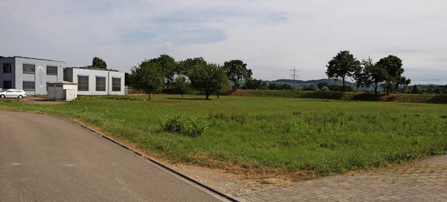 Die Wiese beim Wendehammer im &#8222;K...; wird der neue Standort des  Bauhofs.  | Foto: Archivfoto: Michael Haberer