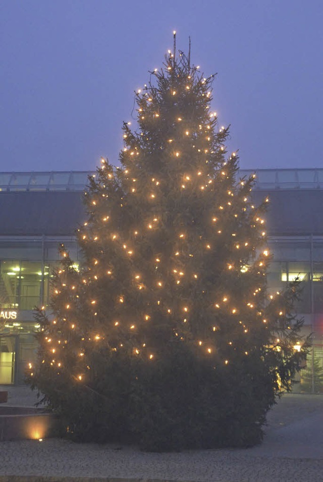 Der Christbaum auf dem Rathausplatz in Buggingen ist  gespendet worden.  | Foto: Sigrid Umiger