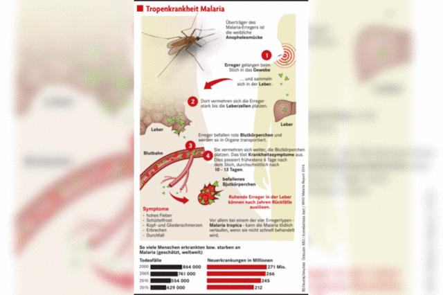 WHO meldet Erfolge im Kampf gegen Malaria