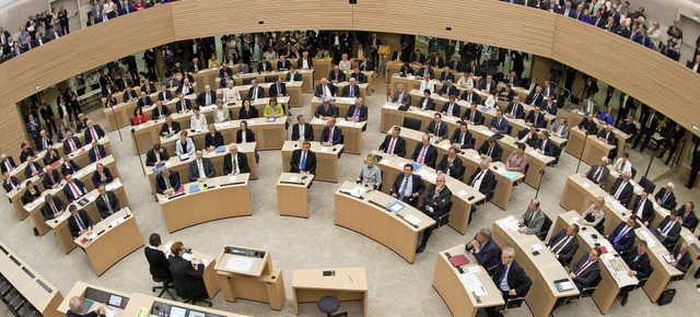 Im Stuttgarter Landtag   | Foto: dpa