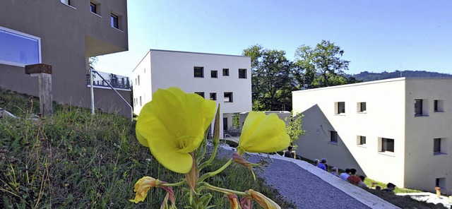 Gelbe Blume vor UWC: Das United World College liegt in Freiburgs Osten.   | Foto: Michael Bamberger