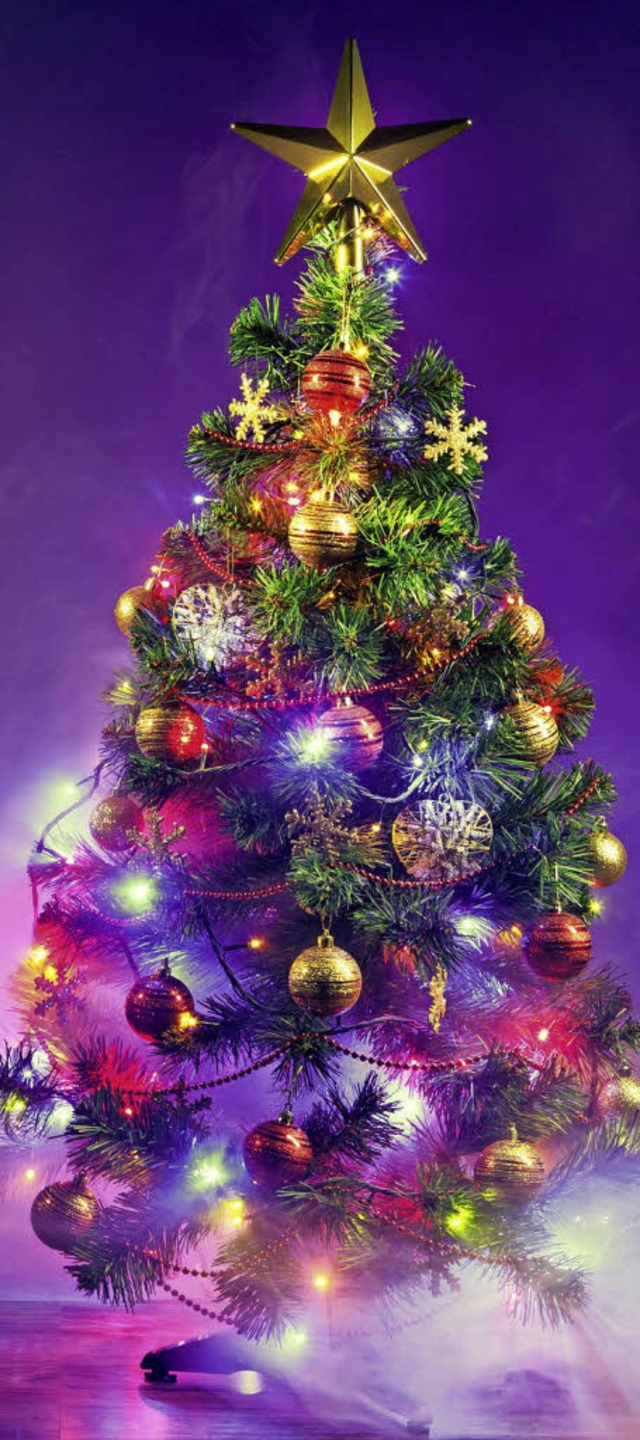 Tannenbaum muss sein.   | Foto: nikita sobolkov (fotolia.com)/privat