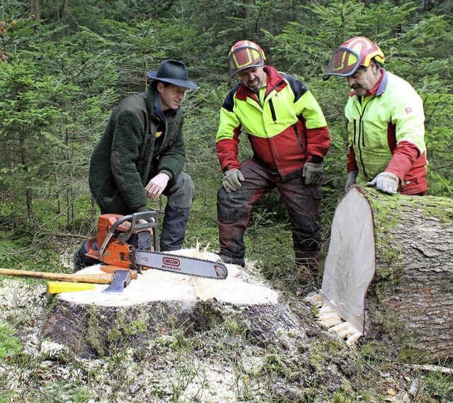 Der Holzeinschlag wurde fr 2017 auf 1...hard Merz den Holzeinschlag im Wald.    | Foto: Dagobert Maier