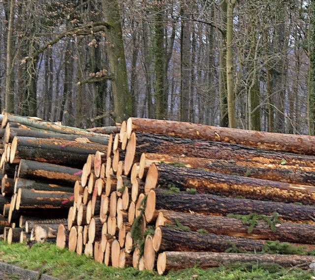 2017 wird weniger Holz geschlagen als in den Vorjahren.   | Foto: i. Bhm-Jacob