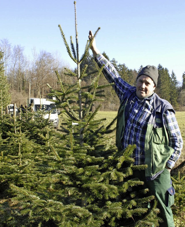 Wenn Matthias Kaiser den Arm hoch stre...Kauf eines passenden Weihnachtsbaumes.  | Foto: Leony Stabla