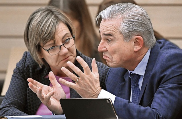 Finanzministerin Edith Sitzmann (Grne...r Thomas Strobl (CDU) reden ber Geld.  | Foto: dpa
