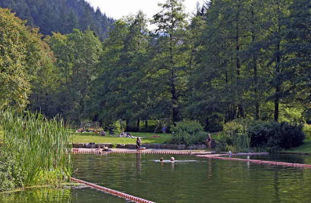 Das Naturschwimmbad ist ein Idyll &#8211; das aber mancherlei Probleme aufwirft.  | Foto: Ingeborg Grziwa
