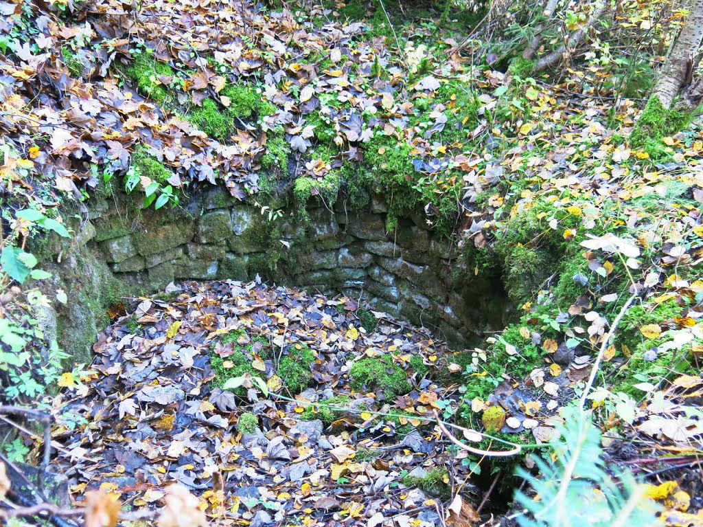 Unterhalb der Hauptburg, jedoch innerhalb der einstigen Ringmauer, lsst sich der obere Teil eines Brunnenschachtes (oder ist es mglicherweise eine Zisterne?) gut ausmachen.