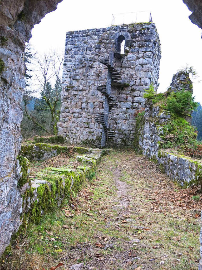 Der  Bergfried lsst sich ber eine betonierte Wendeltreppe erreichen, vom allgemeinen Bewuchs ist kaum noch was brig geblieben.