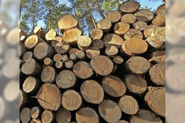 Holzernte schrumpft im kommenden Jahr