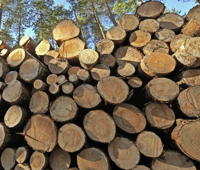 Nchstes Jahr wird weniger Holz im Heitersheimer Stadtwald geerntet.   | Foto: dpa