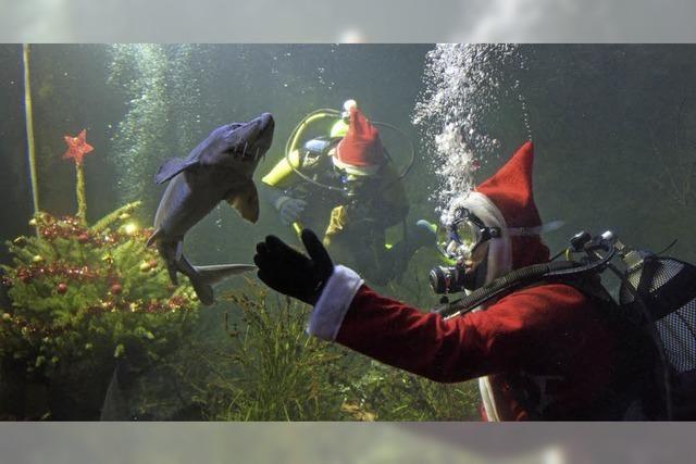 Weihnachten unter Wasser