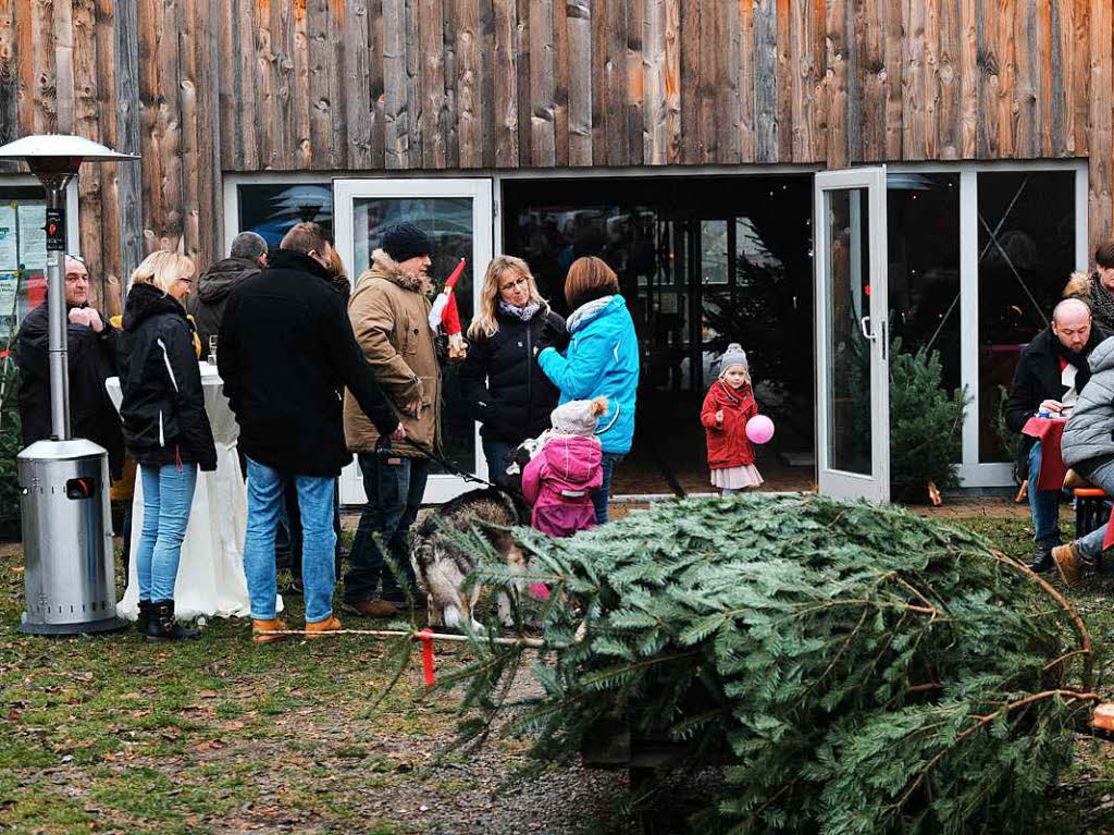 Die Anzeigenkunden der BZ hatten groen Spa, sich vor der Alten Sge in Zarten einen schlagfrischen Baum auszusuchen.