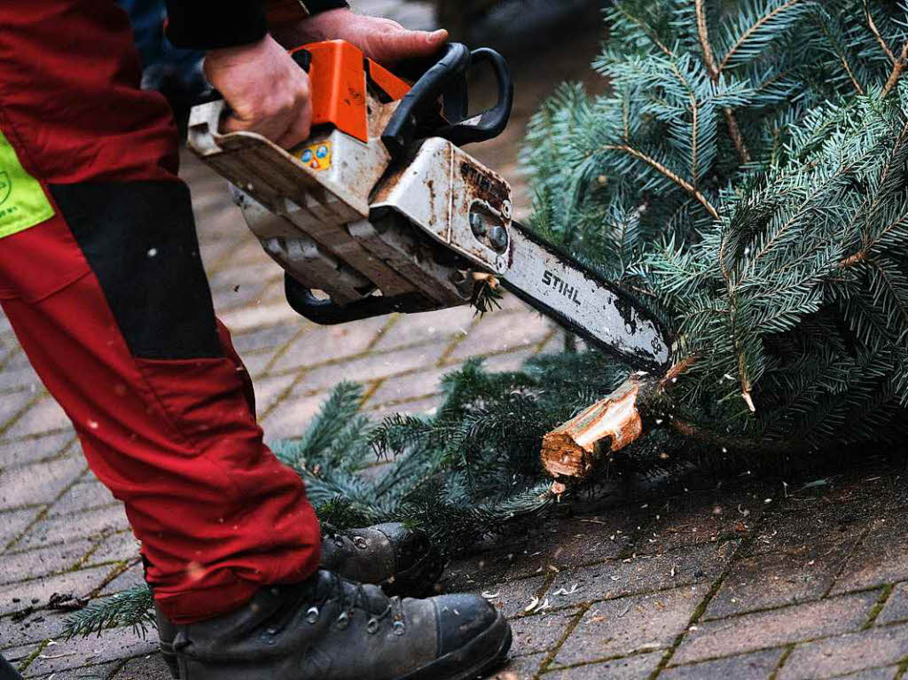 Die Anzeigenkunden der BZ hatten groen Spa, sich vor der Alten Sge in Zarten einen schlagfrischen Baum auszusuchen.