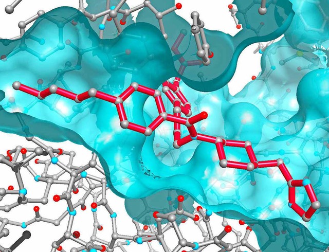 Branchenexperten bezeichnen Actelion a...l eines Aspartat Protease-Mechanismus.  | Foto: Actelion
