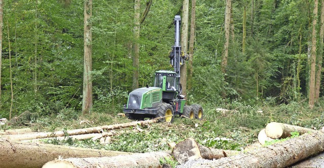 Insgesamt sollen im Jahr 2017 im Gemei...ss in Hhe von 109000 Euro gerechnet.   | Foto: Gemeinde hlingen-Birkendorf