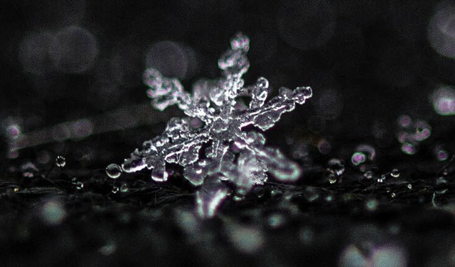 Kein Kristall hnelt dem anderen:  Schneeflocke, wann kommst du geschneit?   | Foto: dpa