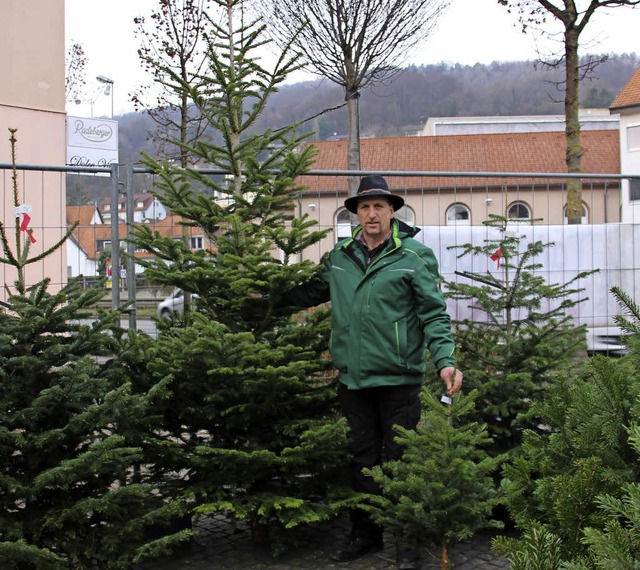 Fr alle Wnsche gerstet: Die beiden ...sind 3,50 Meter und einen Meter hoch.   | Foto: Rutschmann