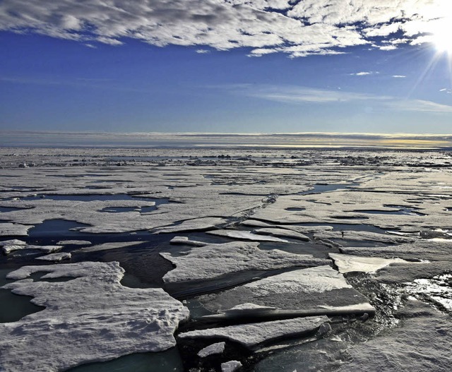 Das Eis in der Arktis wird immer dnner.   | Foto: dpa