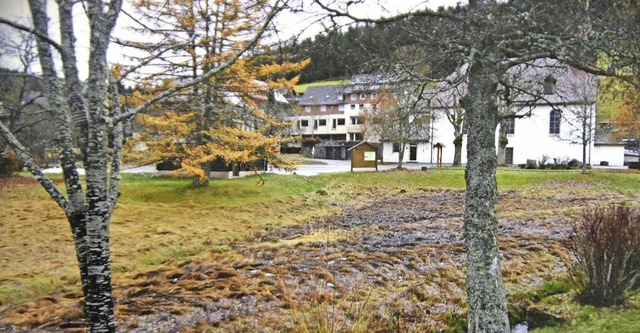 Diese Wiese in Bubenbach  ist ein rgernis fr Wilhelm Krug.   | Foto: privat