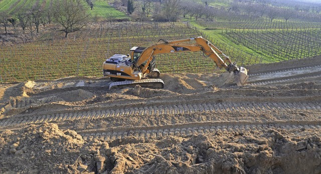 Sasbach. Am Limberg  im Gewann &#8222;...delt und entsteht eine neue Rebflche.  | Foto: Roland Vitt