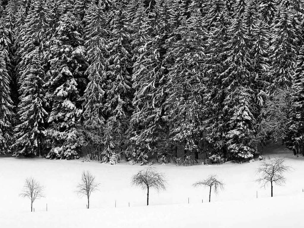 Joseph Carlson sieht den Schwarzwald mit anderen Augen. Der Fotograf und Bildknstler hat ein Bildband herausgegeben, der die Region in Schwarz-Wei in Szene setzt.