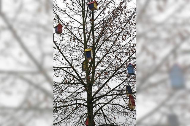 Elf Vogelhäuschen am Baum
