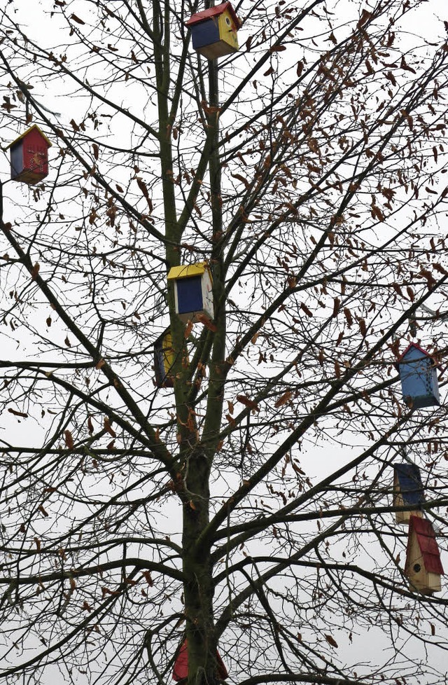 Ein ungewhnlicher, aber schner Anblick: die elf Vogelhuschen an dem Baum  | Foto: Marion Ochs