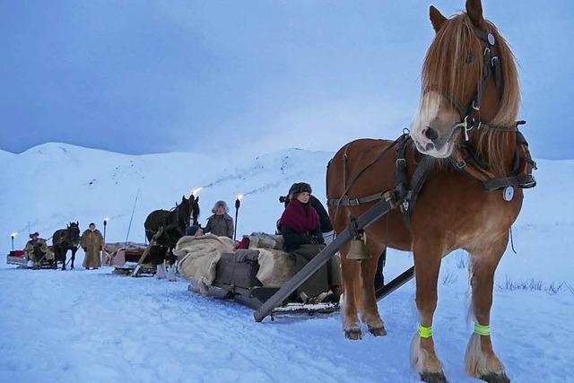 Rros im Winterwunderland