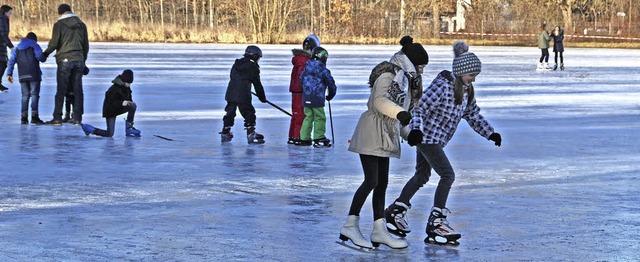 Beste Bedingungen herrschen auf der Eiswiese am Rande des Schlossparks.    | Foto: Gnter Vollmer