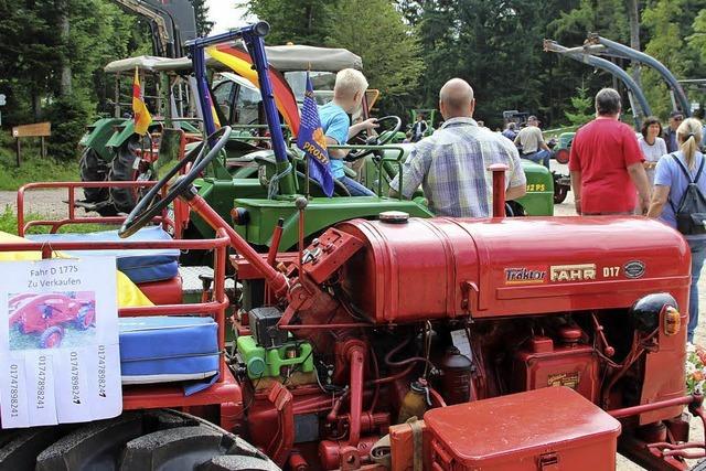 Geienfest steigt erneut in Edenbach