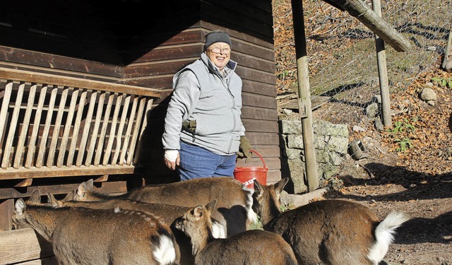 Hubert Armbruster bei der Arbeit im Wildgehege St. Blasien.  | Foto: Cornelia Liebwein