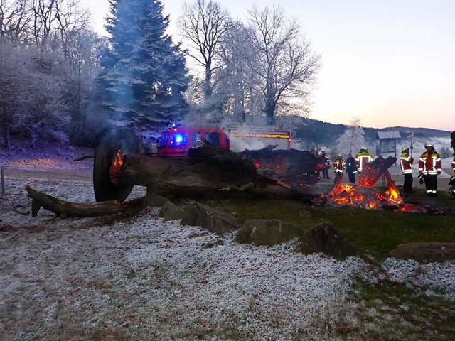 Vllig verbrannt ist die Gerichtseiche...Castellberg bei Ballrechten-Dottingen.  | Foto: Polizei
