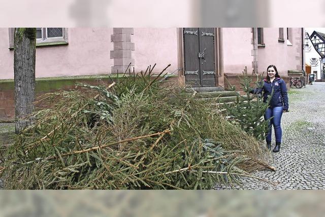 Abfuhr beginnt am Samstag