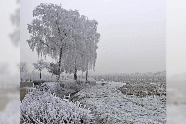 Zweierlei Winterwetter im Elztal