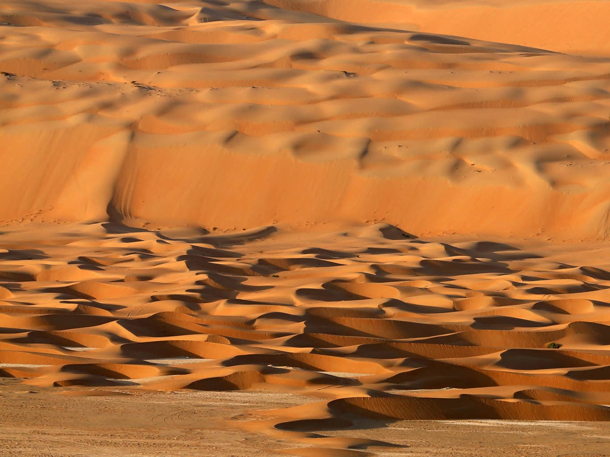 Die Wste Liwa, zu der die Moreeb-Dne gehrt, liegt etwa 250 Kilometer westlich vom Golf-Emirat Abu Dhabi.