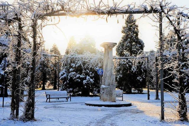 Fotos: Der verschneite Seepark in Freiburg